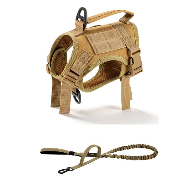 PETRAVEL Tactical Cat Harness And Leash Set For Outdoor Walking