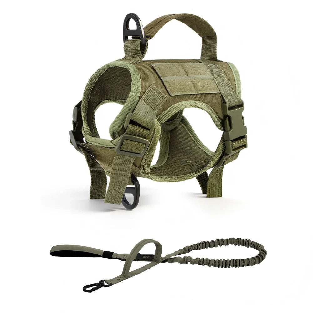 PETRAVEL Tactical Cat Harness And Leash Set For Outdoor Walking